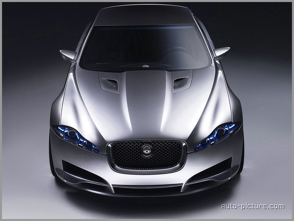 Jaguar..Какой взгляд..