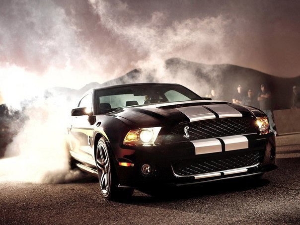 Ford Shelby GT 500 Cobra