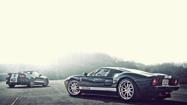 Forg Mustang & Ford GT