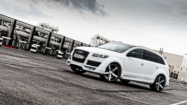 Audi Q7 Белый Дракон