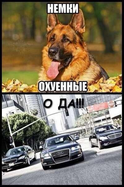 О ДА!