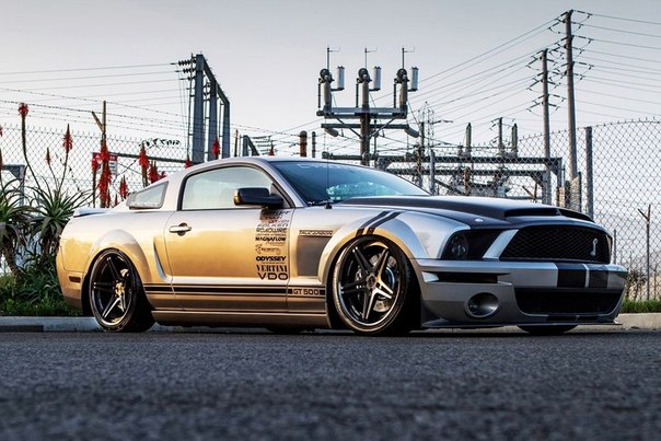 Shelby GT 500 SuperSnake