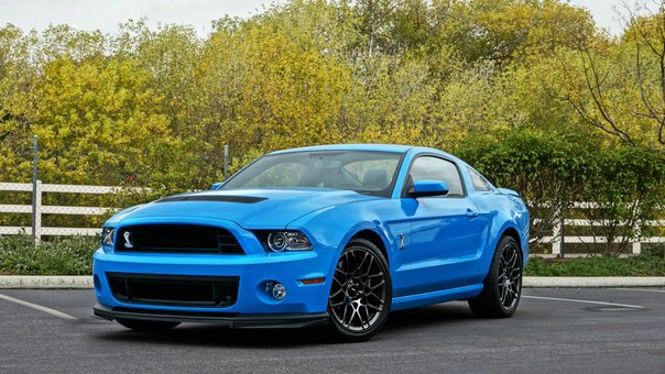 • Ford Mustang Shelby GT500