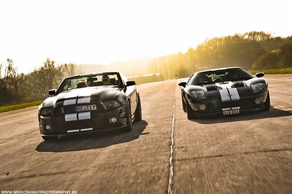 Shelby GT500 Supersnake 750hp & Ford GT Whipple Superchargers 850hp.