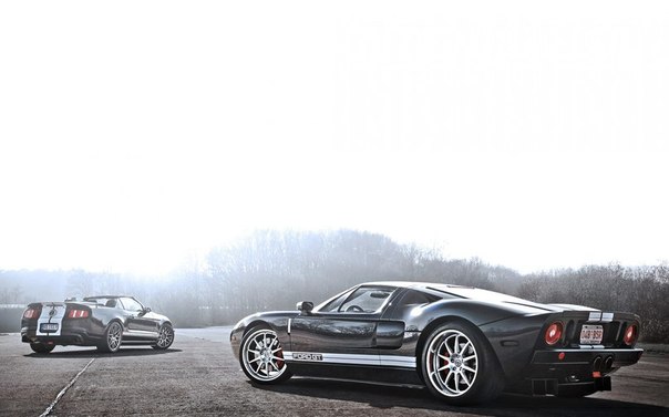 Shelby GT500 Convertible & Ford GT