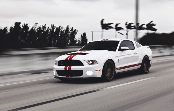 Ford Mustang  GT500