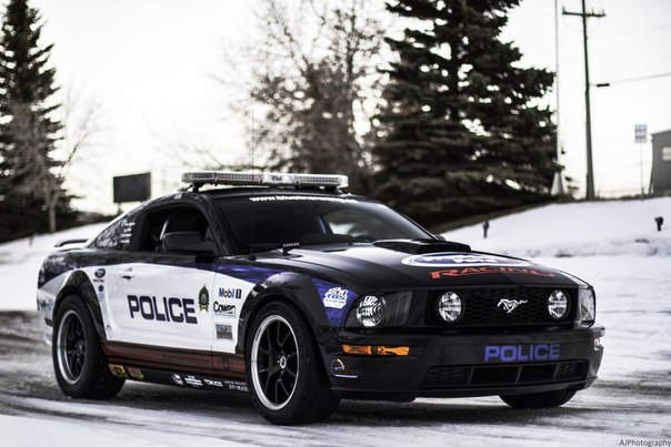Ford Mustang GT Police Interceptor