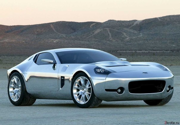 Ford Shelby Concept.