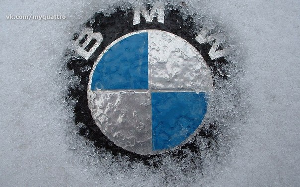 Ценители BMW ставят лайк!