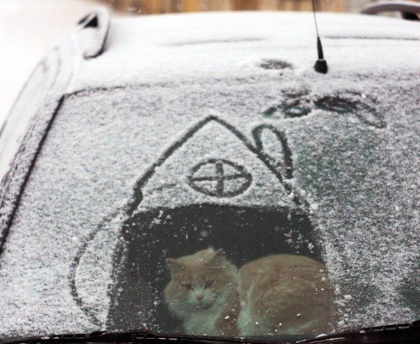 Хорошо когда в машине тепло )