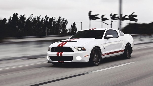 Ford - Shelby GT500