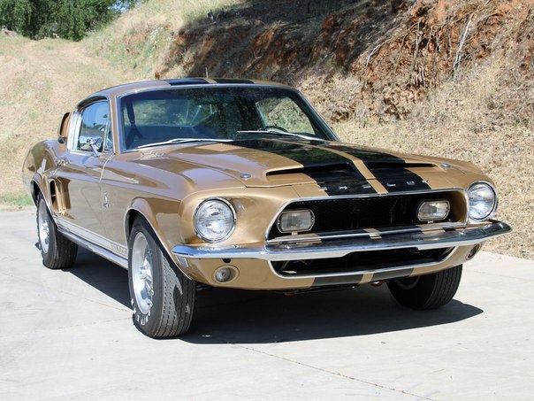 Shelby GT500 '1968