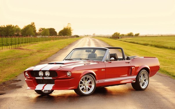 Ford Mustang Shelby GT500 CR