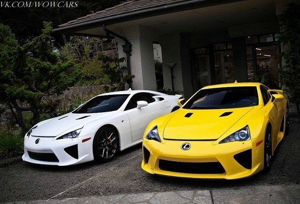 Желтая или белая?