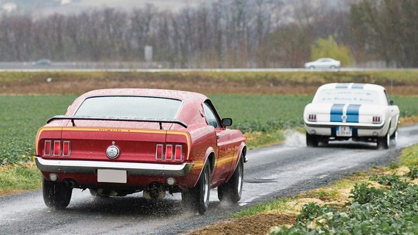 Ford Mustang Mach 1 & Ford Mustang Shelby GT350