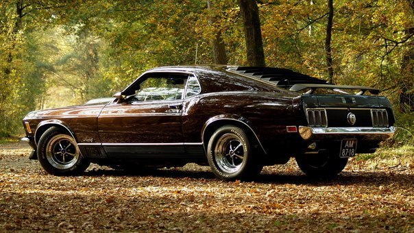 Ford Mustang, 1978