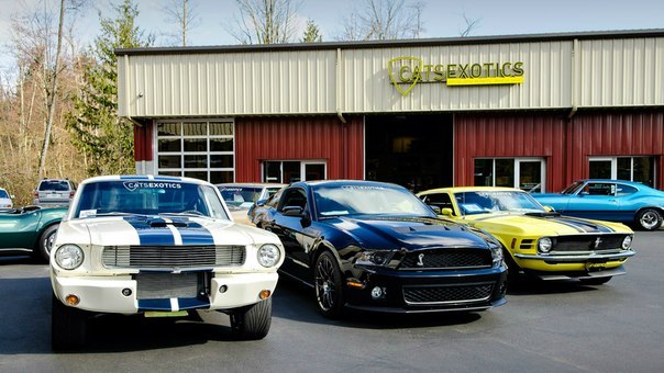 Ford Mustang GT350, Shelby GT500, Boss 302