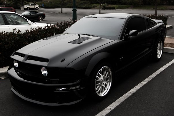 Mustang Shelby