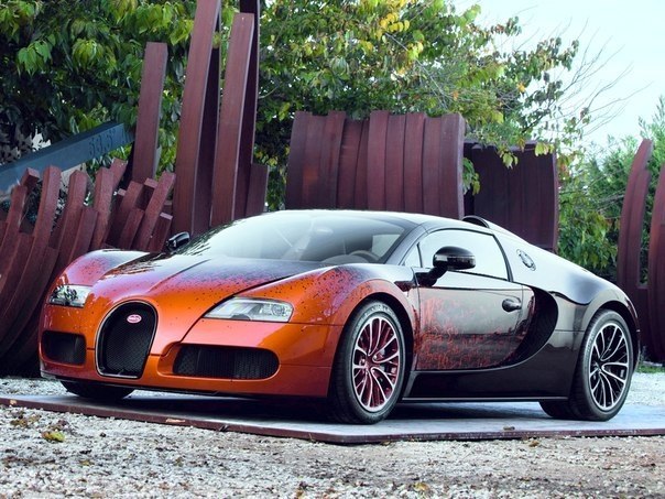 Bugatti Veyron Grand Sport Roadster "Venet"