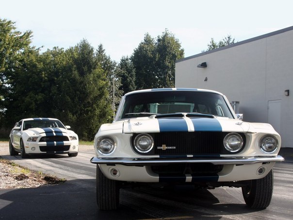 Shelby New and Old