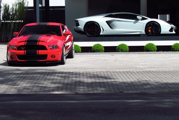 Shelby and Lamborghini Aventador