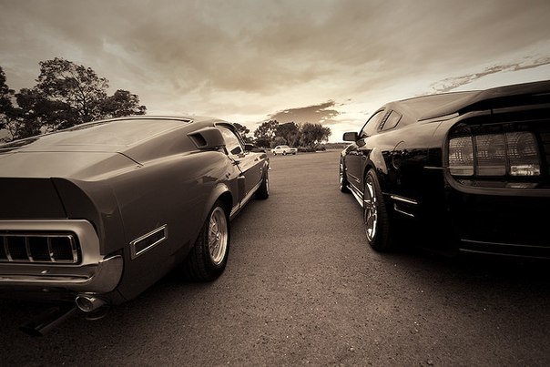 Mustang vs Mustang