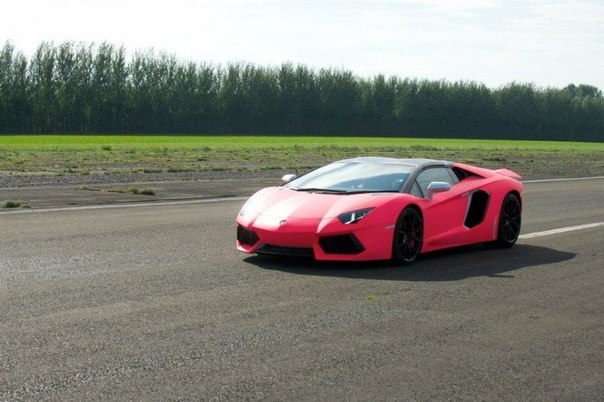 Мечта всей жизни - розовый Lamborghini