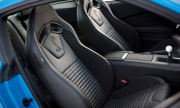 В 2013 году, в автосалоне Лос-Анджелесе Ford Motors предоставит новинку, которая покорит всех потребителей. И этой новинкой станет мустанг Shelby GT500 .