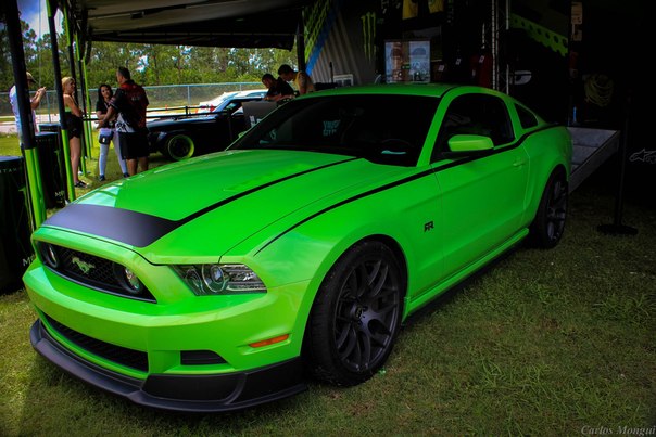 Fors Mustang RTR