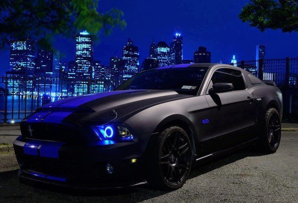 Black With Blue Racing Stripes