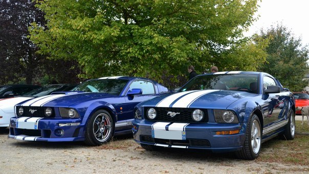Ford Mustang Roush & Ford Mustang GT