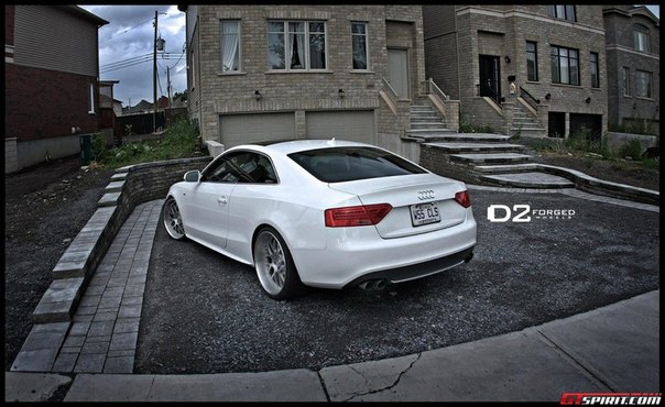 2012 Audi S5 on D2 Forged Wheels