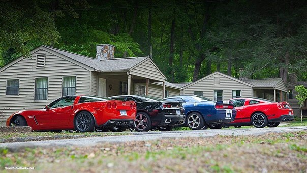 Corvette & Camaro & Challenger & Mustang